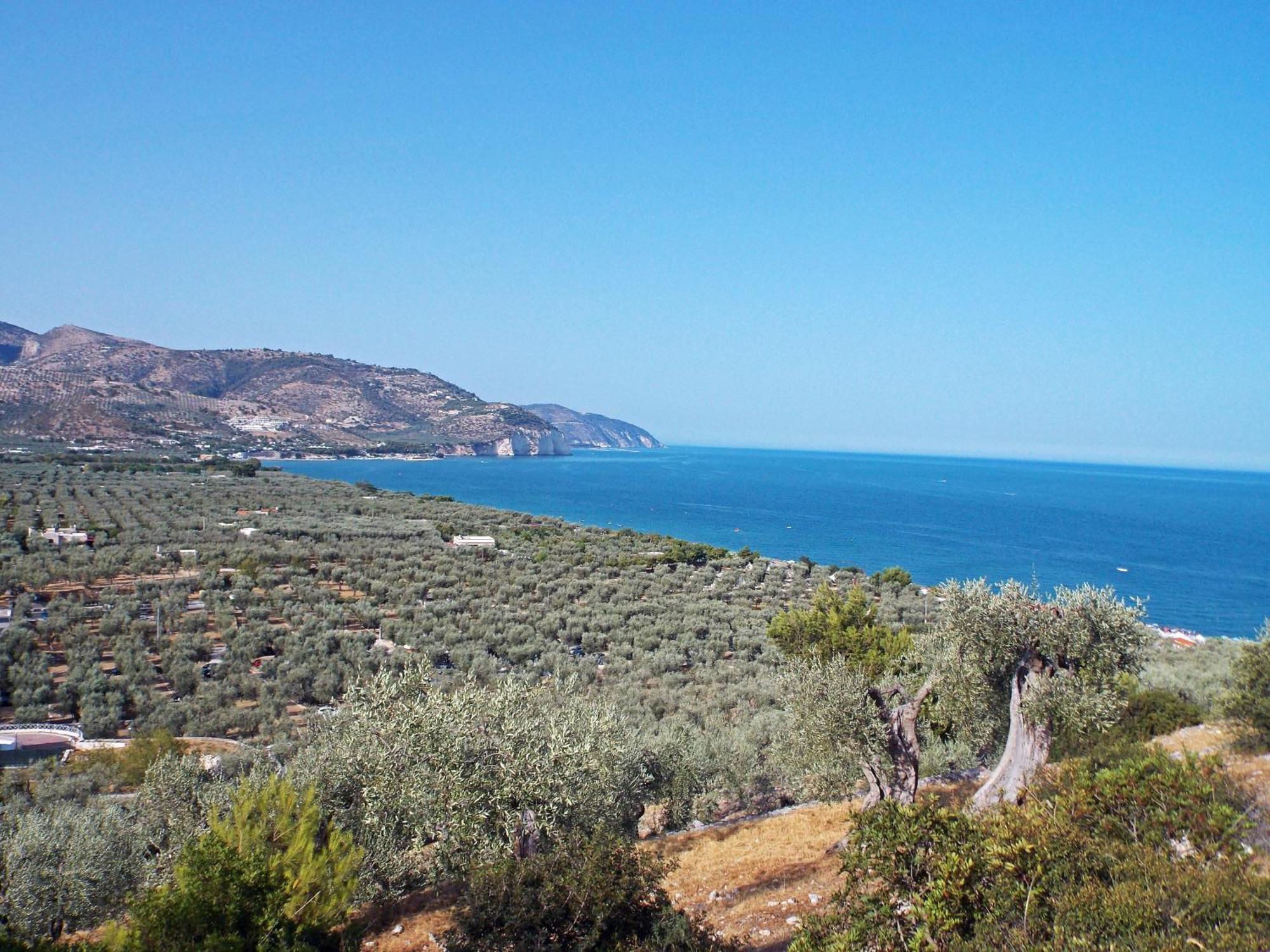 Case Vacanze Uliveto Mattinata Exterior foto